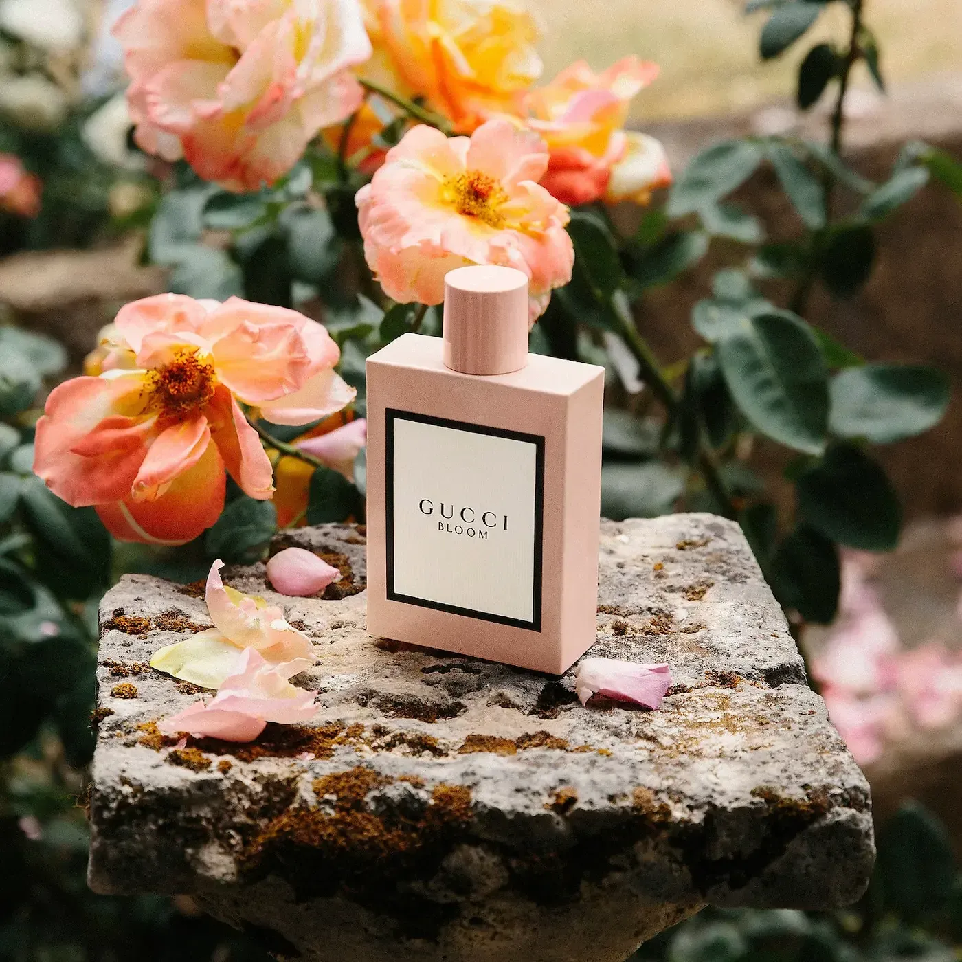 3. Gucci:創新與復古的完美結合