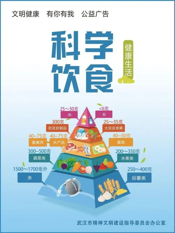 核心肌群與體態改善的關聯:高效改善駝背、骨盆前傾的完整教學