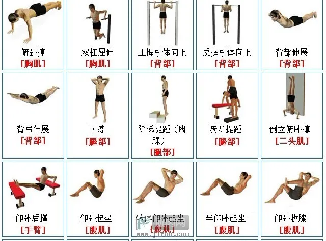 如何使用懸吊式伏地挺身器材高效訓練胸肌:完整教學與安全指南