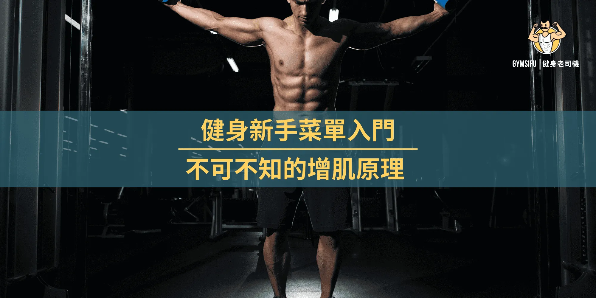 如何設計健身房新手的全身訓練課表?新手必學高效健身攻略
