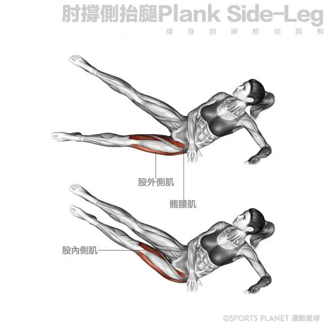 臀中肌訓練的動作推薦:高效提升骨盆穩定性完整教學