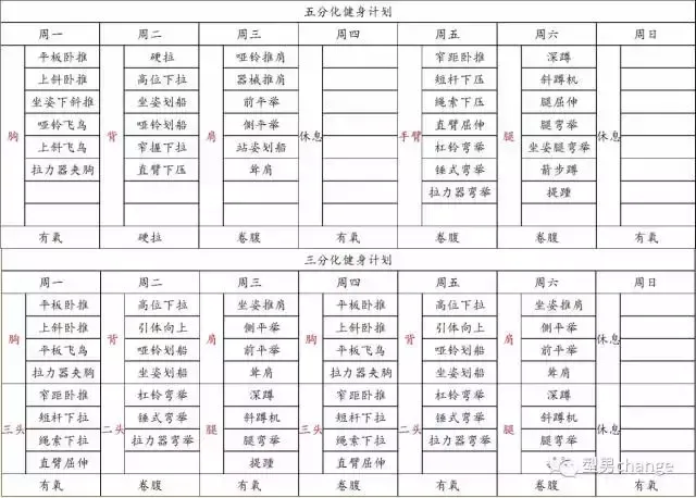 如何設計適合初學者的健體訓練計劃?高效塑形攻略,完整教學!