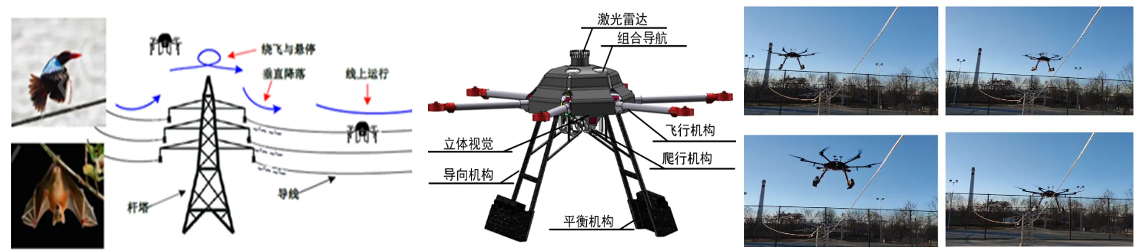 如何使用垂直爬行機進行全身恢復?高效康復指南:完整教學
