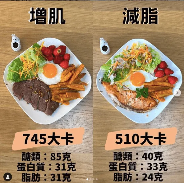 物理治療在受傷後增肌中的角色:高效康復指南及完整教學