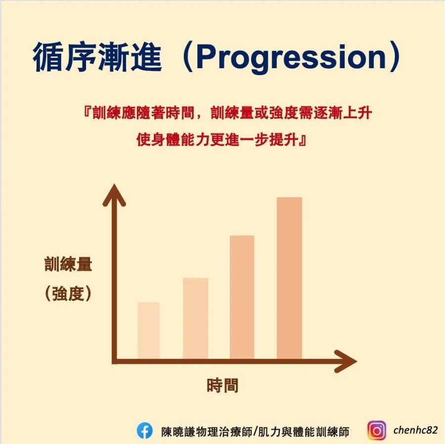 如何設計高效的滾輪腹肌訓練方案?完整教學,打造精實核心!