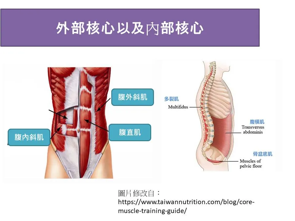 如何利用TRX系統全面提升核心穩定性?高效核心訓練攻略