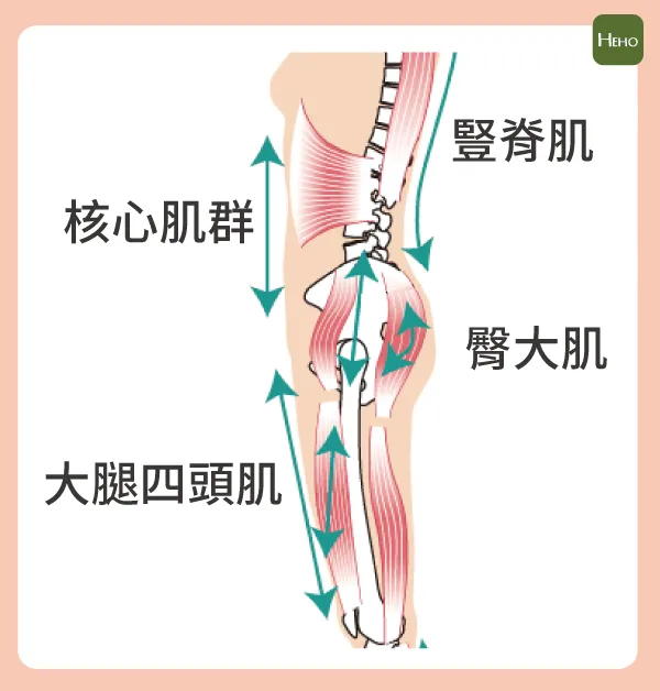 籃球賽場縱橫,強健體態制霸全場:核心訓練指南