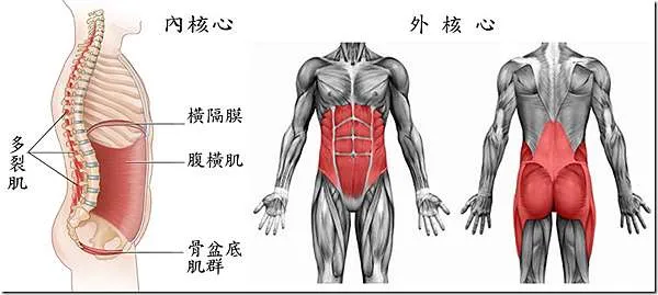 如何利用懸吊器材進行多角度核心訓練:高效提升核心穩定性的完整教學