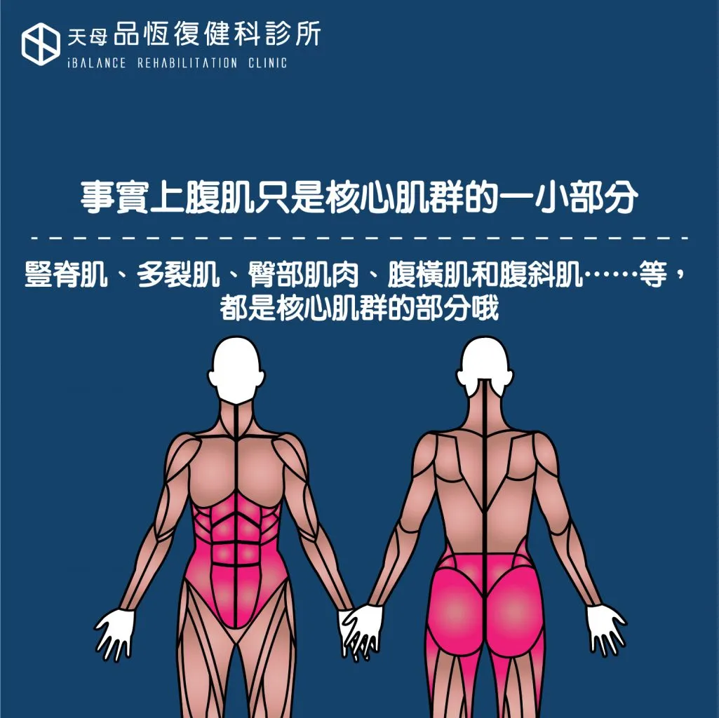 強化核心,運動表現迎向巔峰:常見核心肌群訓練動作指南