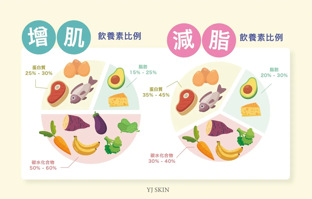 減脂和增肌可以同時進行嗎?高效塑形指南:兼顧力量與有氧的完整教學