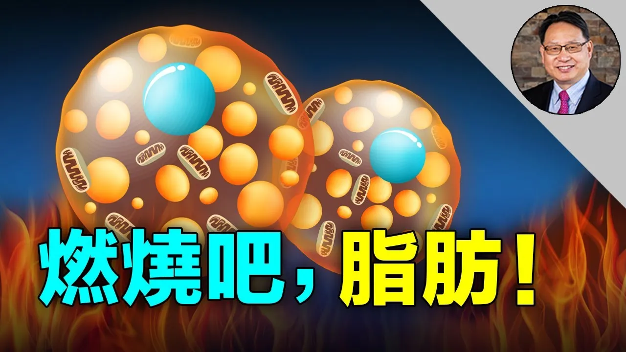 高強度間歇跑步的全身減脂計劃:高效燃脂秘訣與完整教學