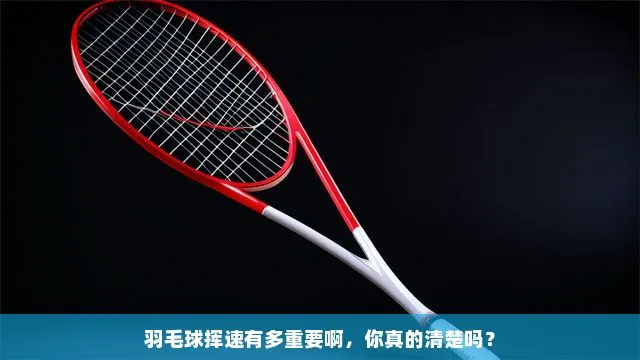 羽毛球揮拍速度提升秘訣:突破技術,提升表現