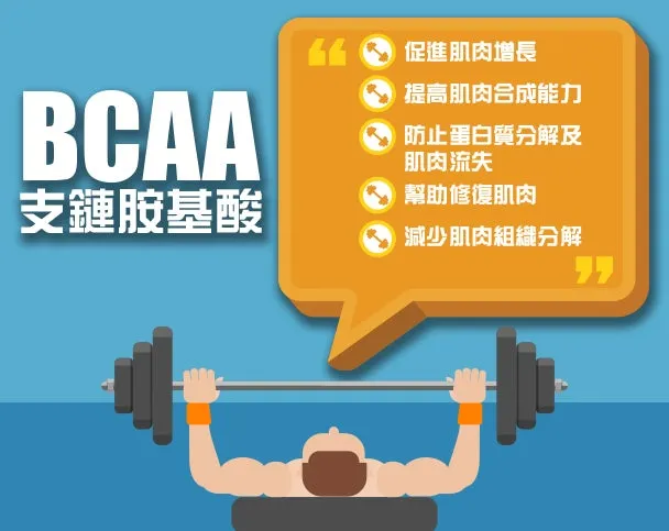 What’s the Role of Protein in Post-Injury Muscle Recovery? 李博士教你高效計算個人蛋白質需求,加速康復!