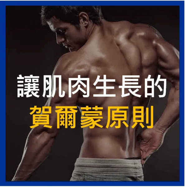 The Role of Core Training in Injury Recovery and Muscle Building:高效核心訓練攻略,助你傷後恢復與增肌!