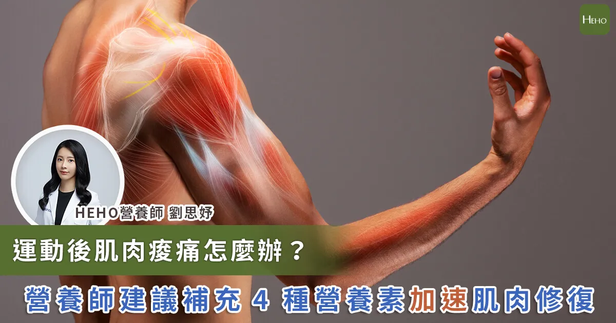 振動訓練板是否能促進肌肉恢復?高效康復指南:安全使用與實用技巧