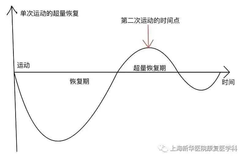 如何追蹤受傷後肌肉恢復的進展?高效監控肌肉恢復的完整教學