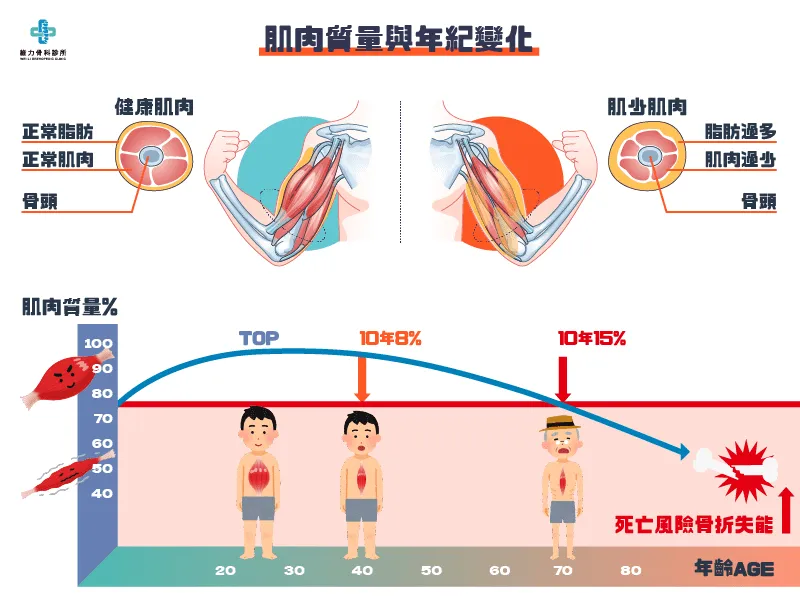 如何避免減脂過程中的肌肉流失?高效增肌減脂的完整教學