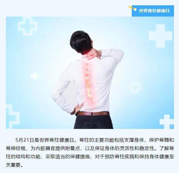 滾輪訓練如何幫助改善脊柱健康?高效提升核心力量與脊椎穩定性的完整教學