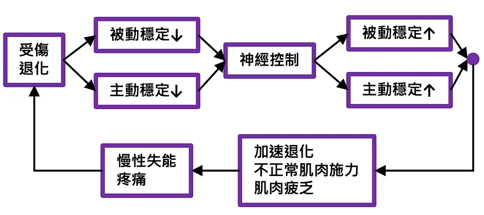 藥球旋轉運動是否能促進腰部恢復?高效核心訓練及腰痛恢復指南