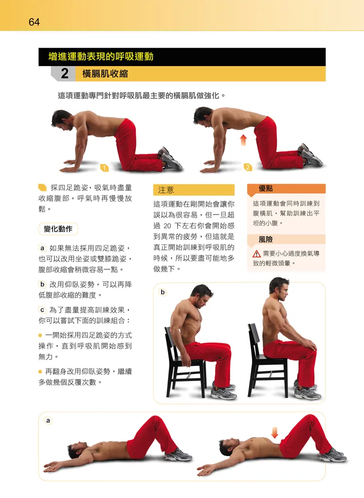 腹橫肌的專業訓練技巧:高效激活核心深層肌群的完整教學
