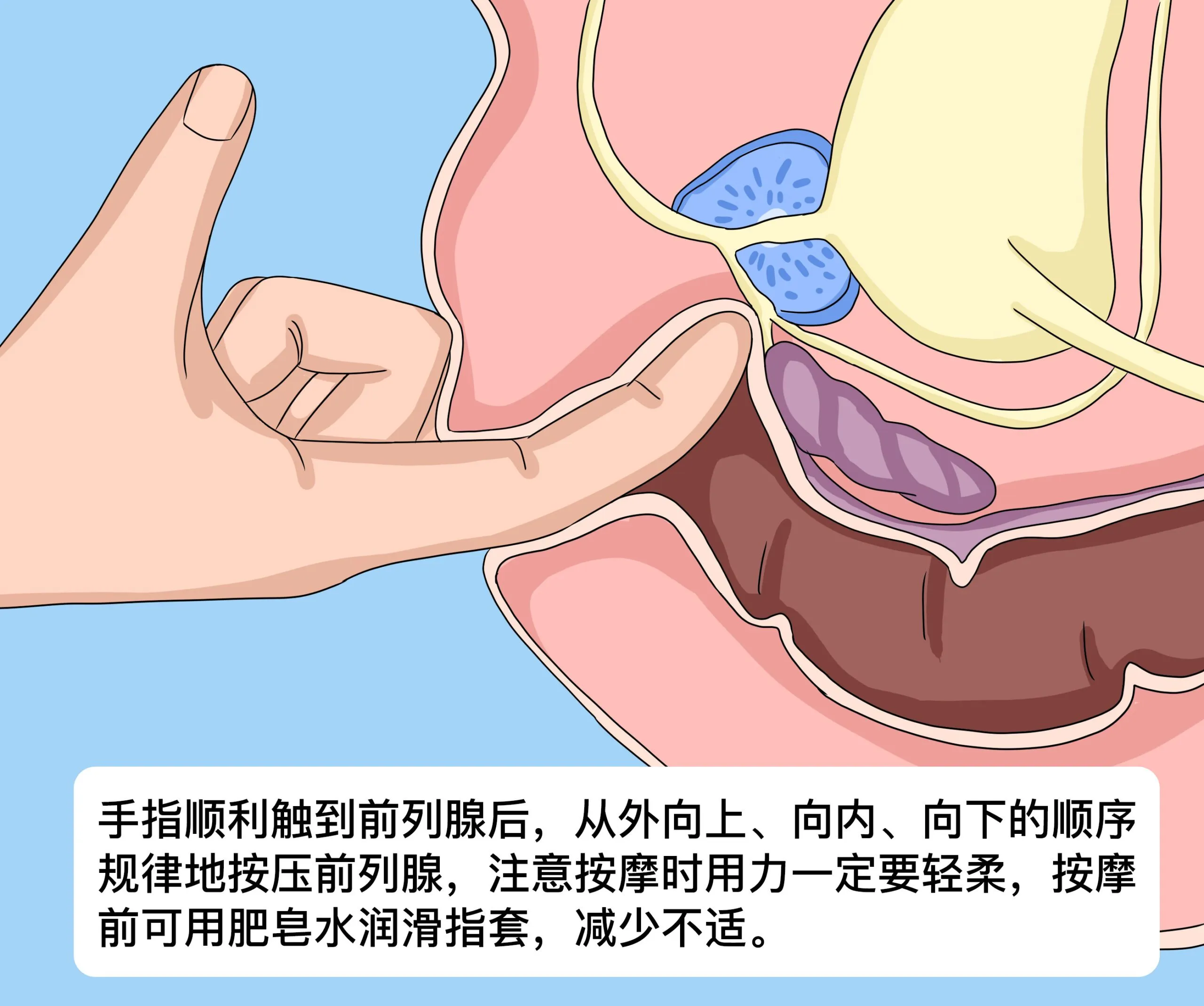 泡沫滾筒對全身肌肉恢復的重要性:高效滾動指南,釋放背部、腿筋、臀部緊繃!