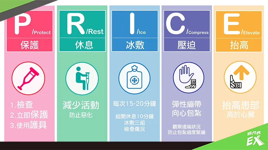 青少年核心力量訓練指南:如何從平板支撐到仰臥抬腿打造強健體魄