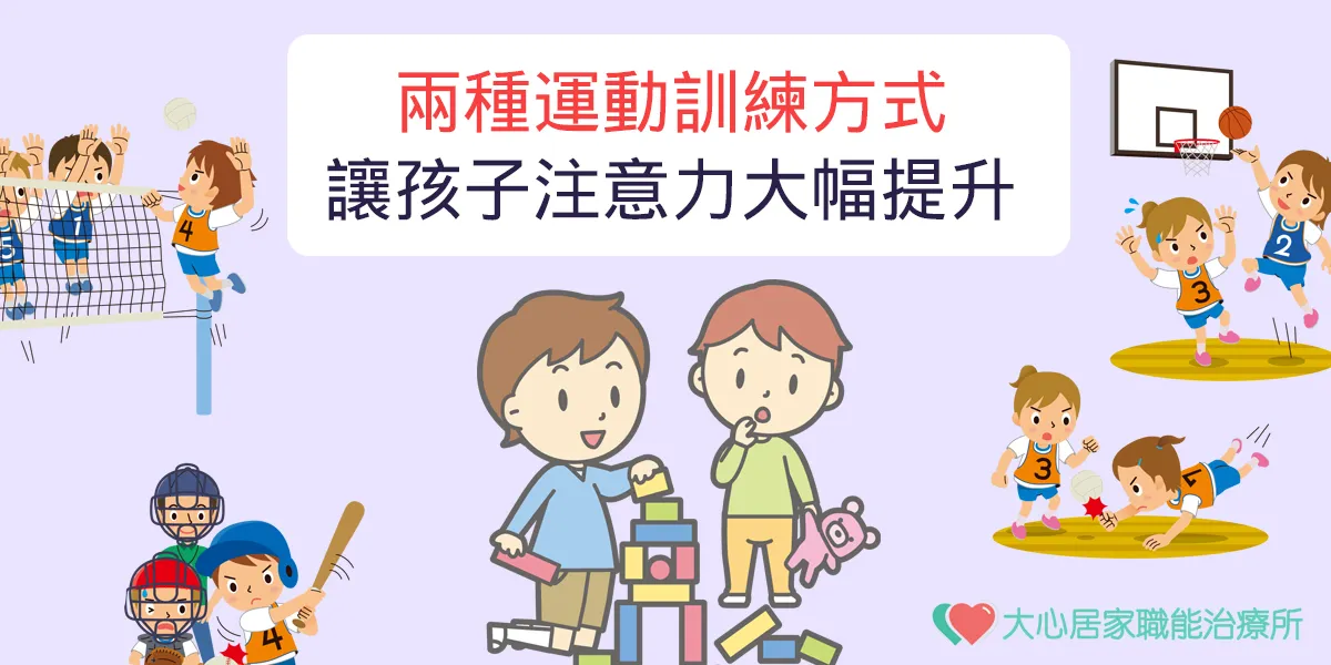 增強下肢力量的訓練方法:打造強健下肢的完整指南
