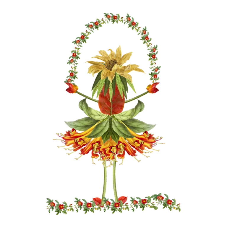 花朵