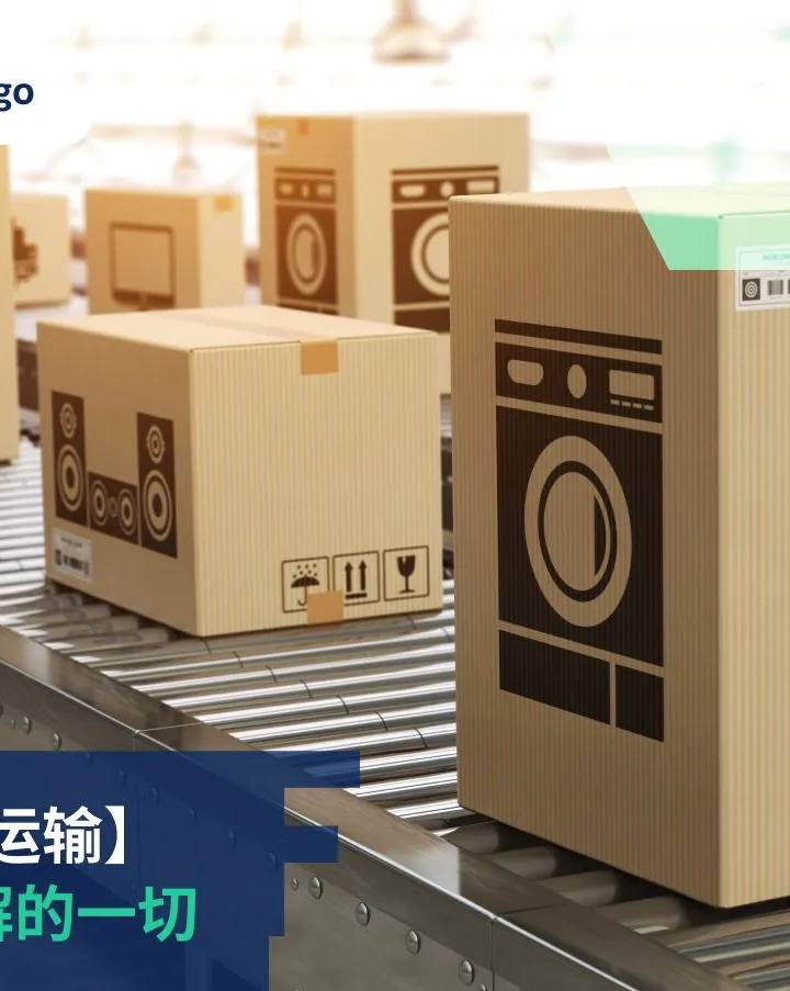 如何使用保護性泡沫材料寄送：包裝專家完整指南