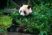 美國郵政破壞袋規定攻略：輕鬆寄送不規則物品
