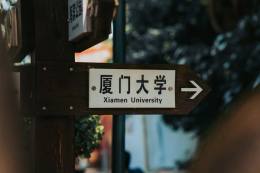 40. 緩衝氣泡袋在物流行業的應用指南