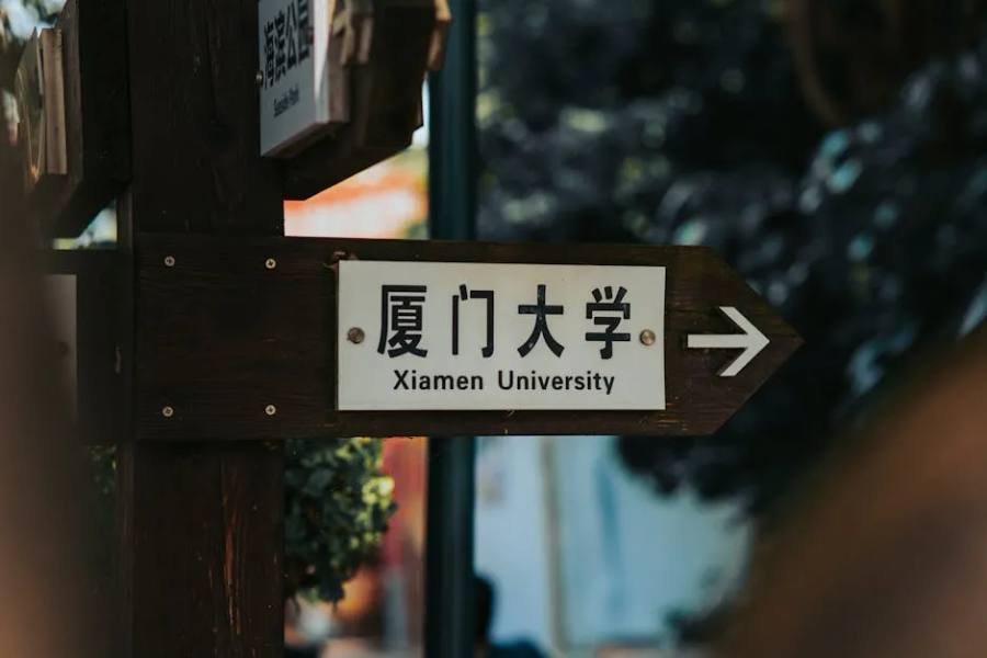 40. 緩衝氣泡袋在物流行業的應用指南