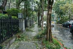 破壞袋材質大比拼：PE、共擠膜，哪種防盜又防水？ 賣家必看！