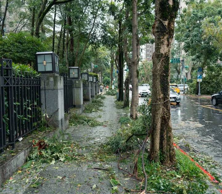 破壞袋材質大比拼：PE、共擠膜，哪種防盜又防水？ 賣家必看！