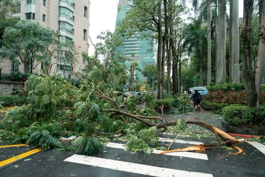 破壞袋大批量採購哪裡最划算？高效省錢採購攻略